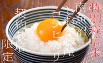 【令和7年産】【定期配送10Kg×6ヶ月】特別栽培&nbsp;生産者限定&nbsp;&nbsp;南魚沼しおざわ産コシヒカリ