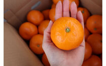 農家直送！有田みかん（5kg&nbsp;Lサイズ&nbsp;秀品）平武農園　～蛍飛ぶ町から旬の便り～