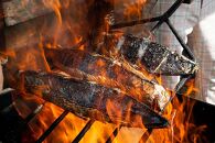 土佐沖一本釣り戻りカツオわら焼き生たたき【おひとり様用・190g】