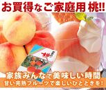 和歌山県産 白鳳 桃 11～16玉入り 訳あり ご家庭用 数量限定【2025年6月下旬から7月中旬ごろ発送】