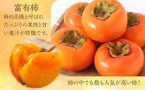 ◆先行予約◆和歌山県産 富有柿＜ご家庭用＞約7.5kg【2023年11月上旬以降発送】