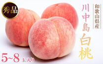 和歌山県産 川中島白桃 5～8玉入り 秀品 先行予約［2025年7月下旬以降発送］［MG7］
