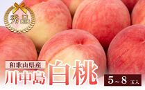 和歌山県産 川中島白桃 5～8玉入り 秀品 先行予約【2025年7月下旬以降発送】【MG7】