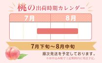 和歌山県産 川中島白桃 5～8玉入り 秀品 先行予約【2025年7月下旬以降発送】【MG7】