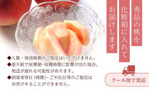 和歌山県産&nbsp;川中島白桃&nbsp;5～8玉入り&nbsp;秀品&nbsp;先行予約［2026年7月下旬以降発送］［MG7］