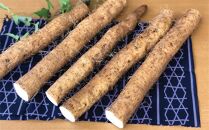 【自宅用】よくばり自然薯セット