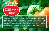 【2024年5月中旬発送】江刺トマトジュース（190ml×30缶） 無塩 無添加 とまとストレート果汁100％