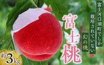 【2024年8月中旬発送】河口湖で初の桃栽培！オリジナルブランド富士桃(約３キロ)