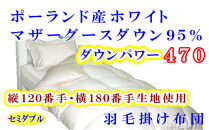 羽毛布団&nbsp;セミダブル&nbsp;羽毛掛け布団&nbsp;ポーランド産マザーグース95&nbsp;羽毛ふとん&nbsp;羽毛掛けふとん&nbsp;120番手&nbsp;ダウンパワー470&nbsp;&nbsp;本掛け羽毛布団&nbsp;本掛羽毛掛け布団&nbsp;寝具&nbsp;羽毛布団【BE076】