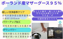 羽毛布団&nbsp;セミダブル&nbsp;羽毛掛け布団&nbsp;ポーランド産マザーグース95&nbsp;羽毛ふとん&nbsp;羽毛掛けふとん&nbsp;120番手&nbsp;ダウンパワー470&nbsp;&nbsp;本掛け羽毛布団&nbsp;本掛羽毛掛け布団&nbsp;寝具&nbsp;羽毛布団【BE076】