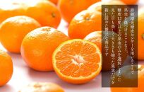 めっちゃ甘いんじゃみかん&nbsp;糖度12度以上&nbsp;2kg（内容量1.8kg）特選品&nbsp;M・S・2Sサイズのいずれか&nbsp;和歌山県産&nbsp;S品&nbsp;贈答用［2025年11月中旬より2026年1月中旬頃順次出荷予定］［みかんの会］