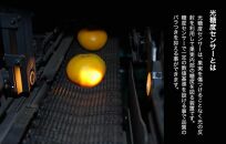 めっちゃ甘いんじゃみかん&nbsp;糖度12度以上&nbsp;2kg（内容量1.8kg）特選品&nbsp;M・S・2Sサイズのいずれか&nbsp;和歌山県産&nbsp;S品&nbsp;贈答用［2025年11月中旬より2026年1月中旬頃順次出荷予定］［みかんの会］