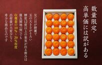 めっちゃ甘いんじゃみかん&nbsp;糖度12度以上&nbsp;2kg（内容量1.8kg）特選品&nbsp;M・S・2Sサイズのいずれか&nbsp;和歌山県産&nbsp;S品&nbsp;贈答用［2025年11月中旬より2026年1月中旬頃順次出荷予定］［みかんの会］