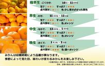 めっちゃ甘いんじゃみかん&nbsp;糖度12度以上&nbsp;2kg（内容量1.8kg）特選品&nbsp;M・S・2Sサイズのいずれか&nbsp;和歌山県産&nbsp;S品&nbsp;贈答用［2025年11月中旬より2026年1月中旬頃順次出荷予定］［みかんの会］