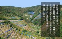 めっちゃ甘いんじゃみかん&nbsp;糖度12度以上&nbsp;2kg（内容量1.8kg）特選品&nbsp;M・S・2Sサイズのいずれか&nbsp;和歌山県産&nbsp;S品&nbsp;贈答用［2025年11月中旬より2026年1月中旬頃順次出荷予定］［みかんの会］