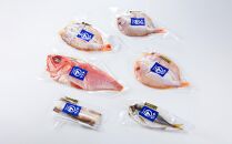 博多製造　低温熟成無添加ひものセット