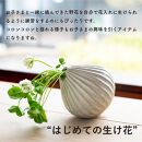 コドモノ　倒れにくい花入れ　codomono-07【信楽焼・明山】