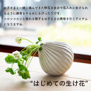 【ポイント交換専用】【信楽焼・明山】コドモノ　倒れにくい花入れ　codomono-07