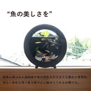 【信楽焼・明山】丸水槽・中（黒）aqua-01s