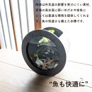 【信楽焼・明山】丸水槽・中（黒）aqua-01s