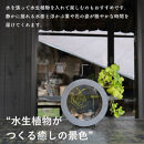 【信楽焼・明山】丸水槽・中（黒）aqua-01s