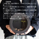 【信楽焼・明山】丸水槽・中（黒）aqua-01s