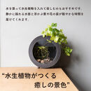 【信楽焼・明山】丸水槽・小（黒）　aqua-03s