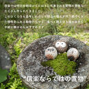 【信楽焼・明山】　ちびふくろう　3匹セット　S11-197_8_9