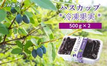 ハスカップ冷凍果実（500g×2）【ポイント交換専用】
