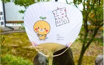【みきゃんデザイン】五十崎凧  1統・うちわ1枚【伝統工芸 雑貨　おすすめ 送料無】
