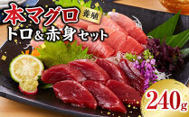 本マグロ（養殖）トロ＆赤身セット&nbsp;240g［KS11］