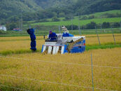 【R7年産新米】北海道産特別栽培米&nbsp;アポイ米（ななつぼし）10kg（5kg×2袋）