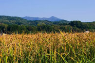 【R7年産新米】北海道産特別栽培米&nbsp;アポイ米（ななつぼし）10kg（5kg×2袋）