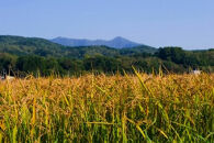 【令和8年産】北海道産特別栽培米&nbsp;アポイ米（ななつぼし）25kg（5kg×5袋）【10月下旬以降発送】