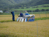 【R7年産新米】北海道産特別栽培米 アポイ米（ななつぼし）5kg