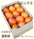 和歌山県産　美濃農園の富有柿　ご家庭用12個（約3.5kg）