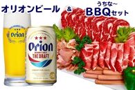 【南城市】オリオン　ザ・ドラフトビール&うちなーBBQセット　