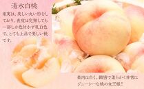 先行予約　和歌山県産 桃の女王『清水白桃』11～15玉入り 秀品【2024年7月中旬以降発送】