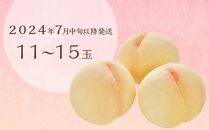 先行予約　和歌山県産 桃の女王『清水白桃』11～15玉入り 秀品【2024年7月中旬以降発送】