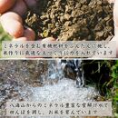 【令和6年産 】新潟県 南魚沼産 コシヒカリ お米 こしひかり 精米 白米 のし 贈り物  熨斗 贈答用 令和6年産 城内農産 特A地区米 4kg(2kg×2袋)