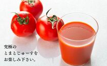 大玉とまとじゅーす（1L×2本）北海道産 果汁 100%【ポイント交換専用】