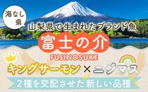 山梨 ご当地 サーモン 富士の介丸ごとセット