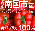 南国びじんセット パプリカソース6本と 南国市産パプリカの詰め合わせ(約1.2kg)