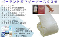 羽毛布団&nbsp;セミダブル&nbsp;羽毛掛け布団&nbsp;ポーランド産マザーグース93&nbsp;羽毛ふとん&nbsp;羽毛掛けふとん&nbsp;ダウンパワー440&nbsp;&nbsp;本掛け羽毛布団&nbsp;本掛け羽毛掛け布団&nbsp;寝具&nbsp;冬用羽毛布団【BE057】