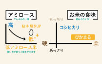 【令和8年産新米予約】精米5kg&nbsp;南魚沼産ぴかまる&nbsp;金賞受賞（米・食味分析鑑定コンクール）【令和8年11月上旬から1ヶ月以内に順次発送予定】・農家直送_AG