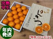 年内発送 完熟早生 有田みかん 化粧小箱 特秀 小玉 SS サイズ 30玉入 和歌山 南泰園