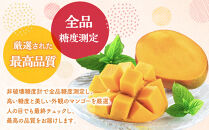 【数量限定】鹿児島&nbsp;与論島アップルマンゴー特A秀品３個約１kg&nbsp;化粧箱入り【先行予約】