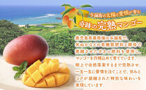 【数量限定】鹿児島&nbsp;与論島アップルマンゴー特A秀品大玉４個約2kg化粧箱入り【先行予約】