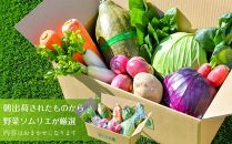 あぐりん村の新鮮野菜宅配BOX　クール便配送期間