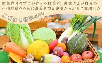あぐりん村の新鮮野菜宅配BOX　クール便配送期間